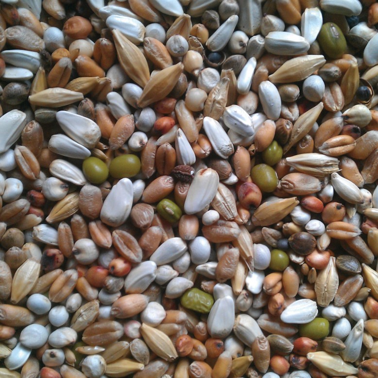 Picking stone with refill Nr. - Product - Vanrobaeys - Quality pigeon feeds