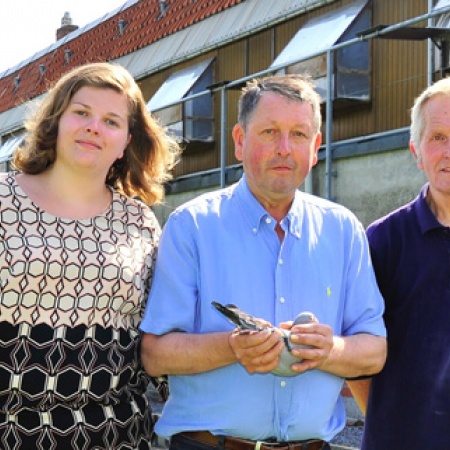 Félicitations à Schoors-De Waele - 1e National Montluçon 13,961 vieux pigeons
