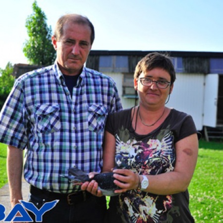 Félicitations à Ameel-Vanlake Ignace & Sabine - 1e National Gueret 7676 vieux pigeons