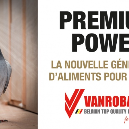 PREMIUM POWER