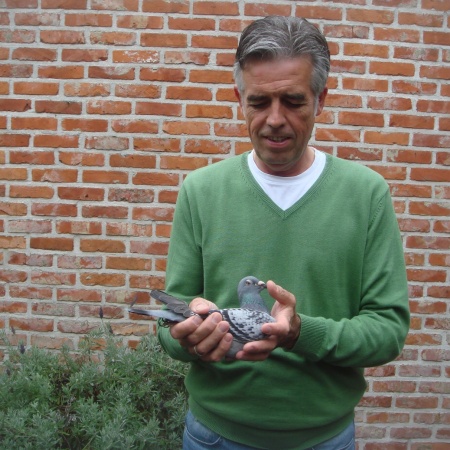 Félicitations à Geert De Coninck - 1e & 9de provincial Barcelona 1829 pigeons