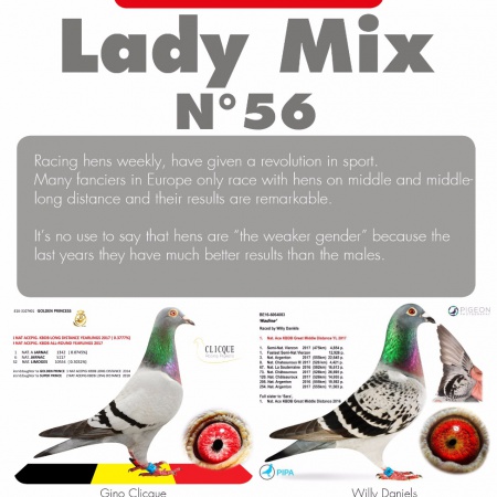 Vanrobaeys “Lady Mix” N°56 : mixture for hens, a revolution in PigeonSport