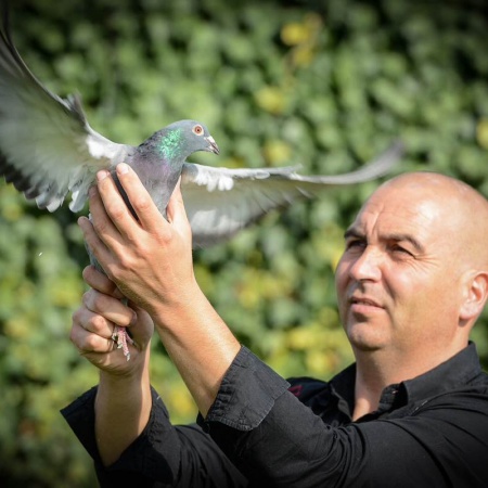 PigeonVet Rudi Hendrikx, Maasmechelen had a fantastic result on the national race Chateauroux 