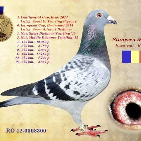 Super résultats avec Vanrobaeys en Romanie