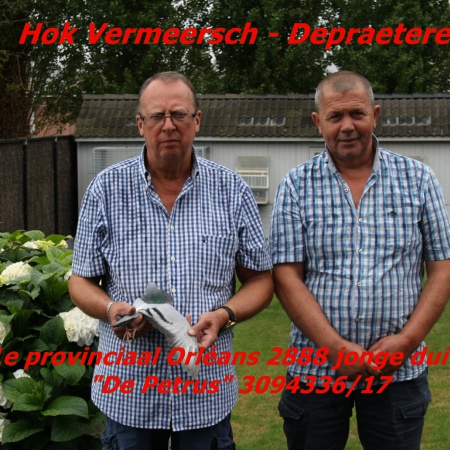 Hok Vermeersch Carl & Co Zwevegem - 1e provinciaal Orléans 2888 jongen
