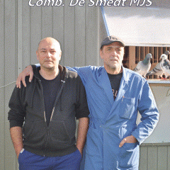 Comb. De Smedt MJS
