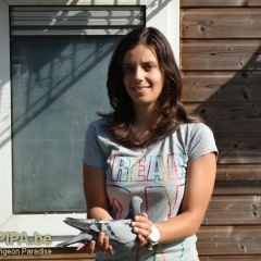Wendela Wiersema